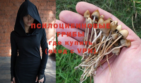 винт Абинск