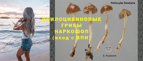 PSILOCYBIN Абаза
