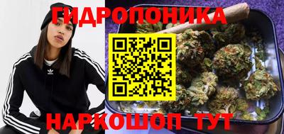 дживик Вышний Волочёк