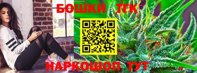 крисы Вязьма