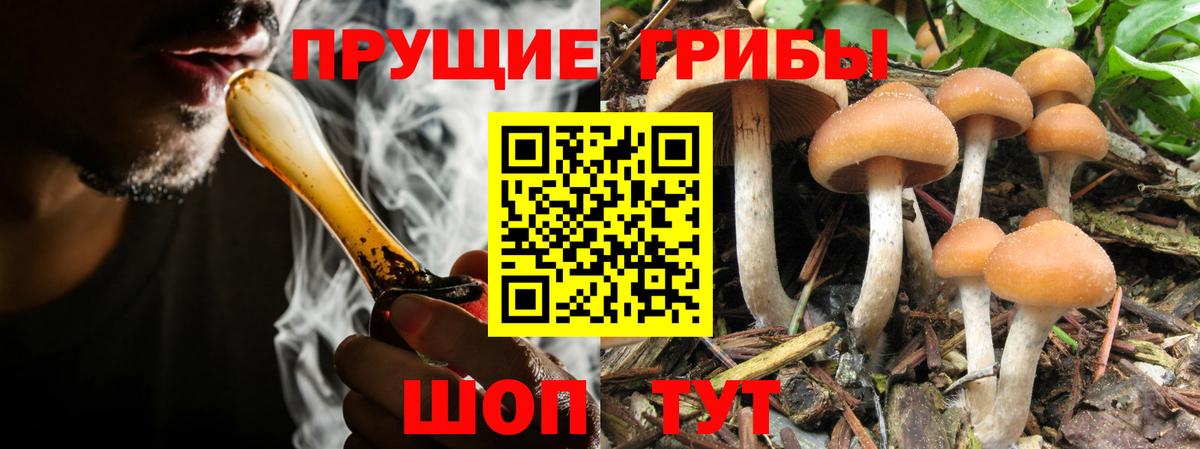 Галлюциногенные грибы ЛСД  Вход с VPN  Волоколамск 