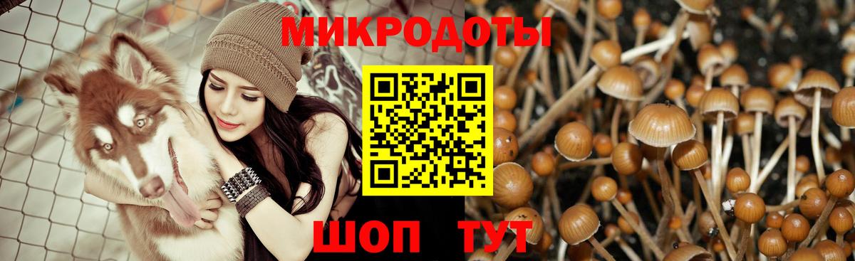 Галлюциногенные грибы GOLDEN TEACHER Волоколамск